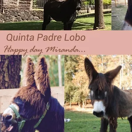Quinta Padre Lobo Santa Maria da Feira