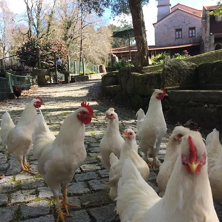 Séjour à la campagne Quinta Padre Lobo *