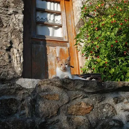 Quinta Padre Lobo Séjour à la campagne
