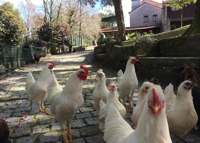 Hétvégi ház Quinta Padre Lobo *