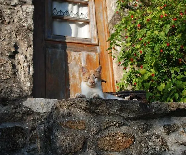 Quinta Padre Lobo Hétvégi ház
